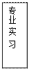 文本框: 专业 实 习